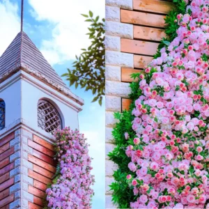 Floral Wall Designs