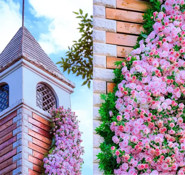 Floral Wall Designs