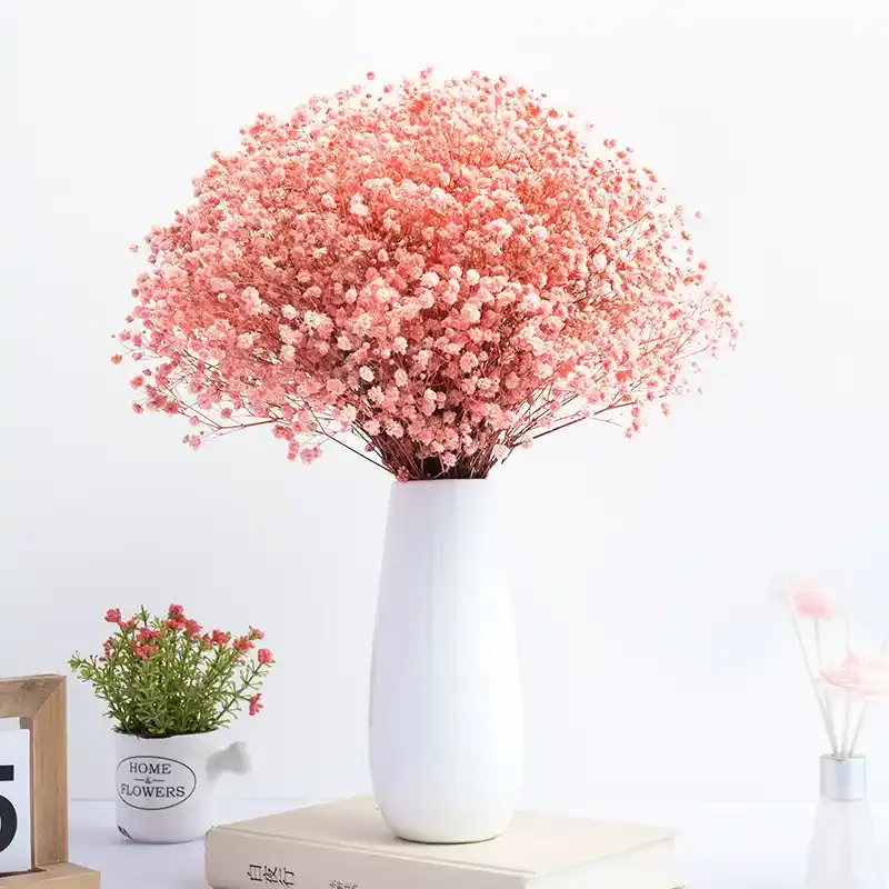 Preserved & Dried Flowers Wholesale