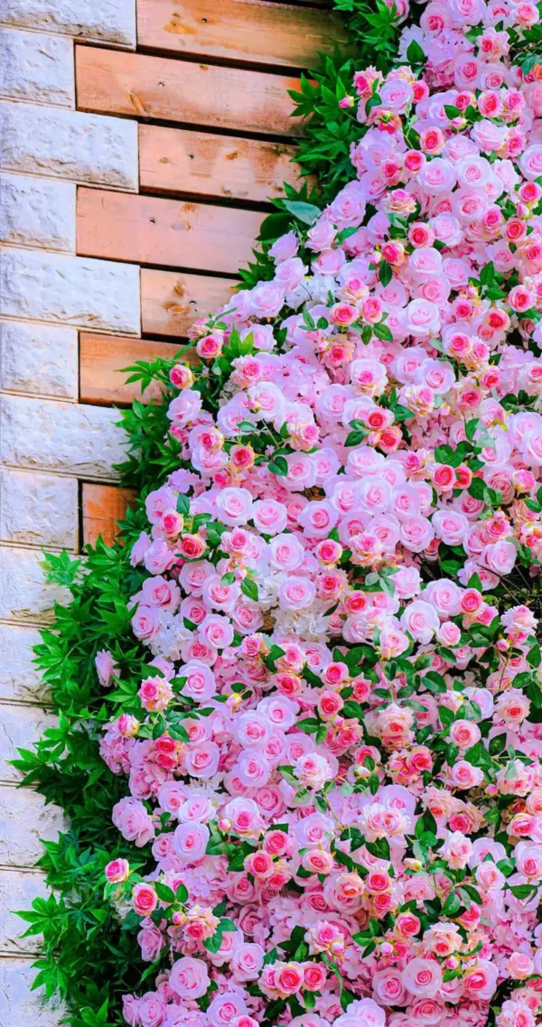 Silk Rose Flower Wall
