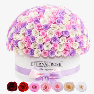 Preserved Real Roses Head in Box For Valentin Day Gift