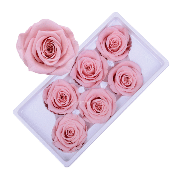 Preserved Real Roses Head in Box For Valentin Day Gift - Image 3