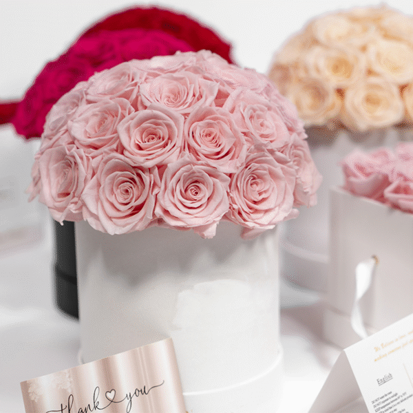 Preserved Real Roses Head in Box For Valentin Day Gift - Image 5
