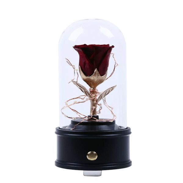 Preserved Roses Music Box