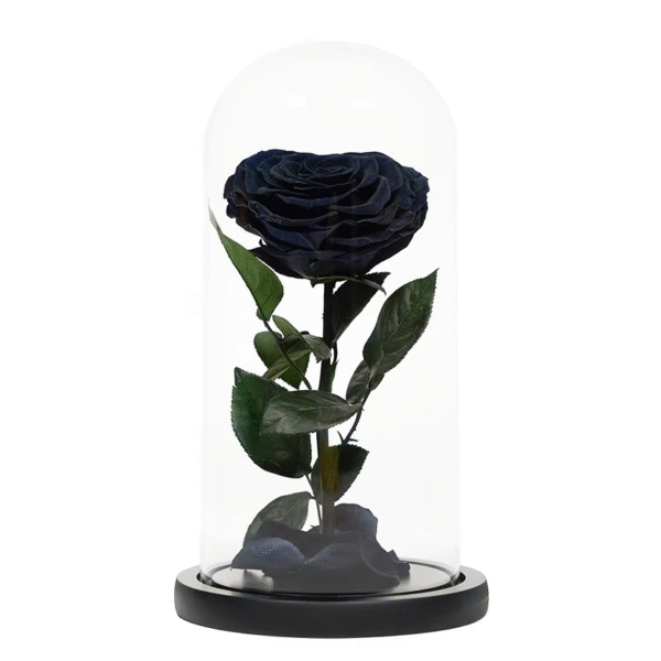 Black Preserved Roses