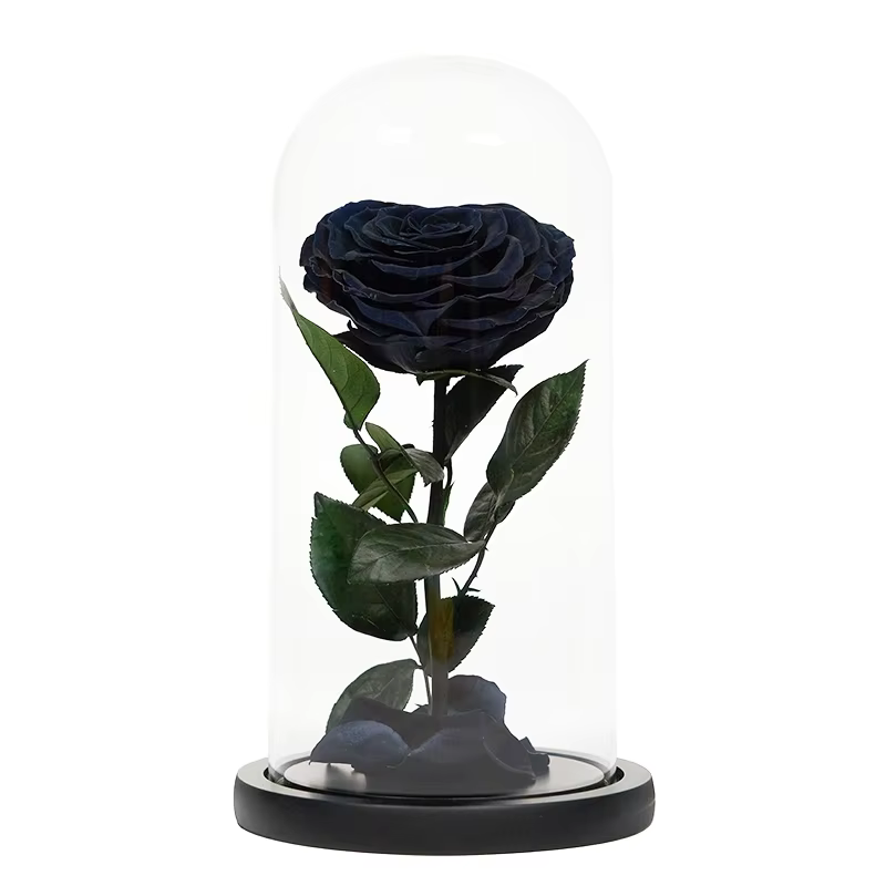 Black Preserved Roses