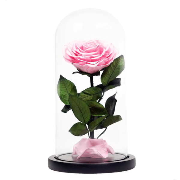 Pink single eternal rose dome