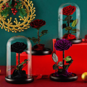 Eternal rose dome Christmas gift