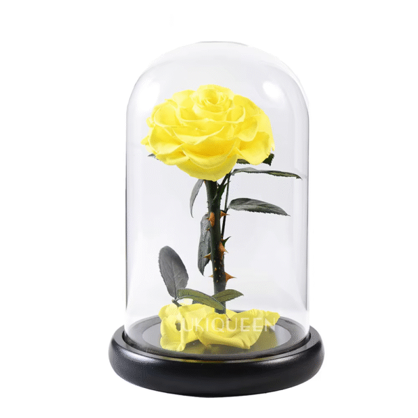 Yellow dome eternal rose