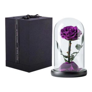 Purple single eternal rose dome