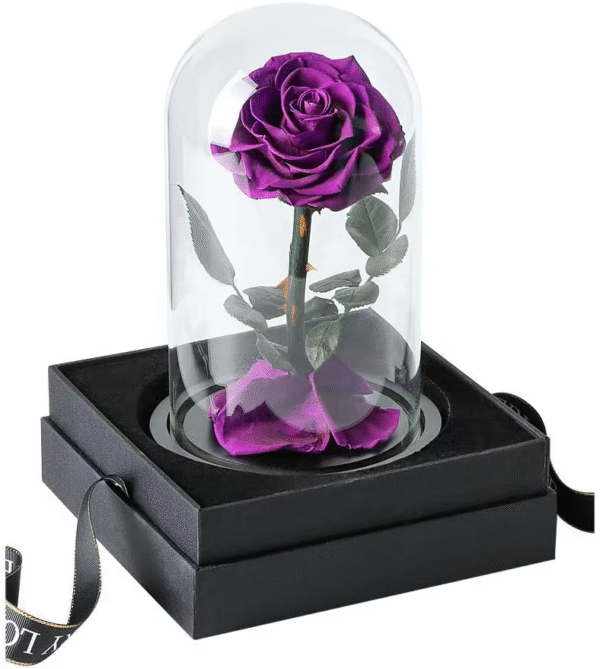 Purple dome immortal rose gift box
