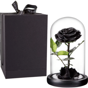 Black dome immortal rose gift box