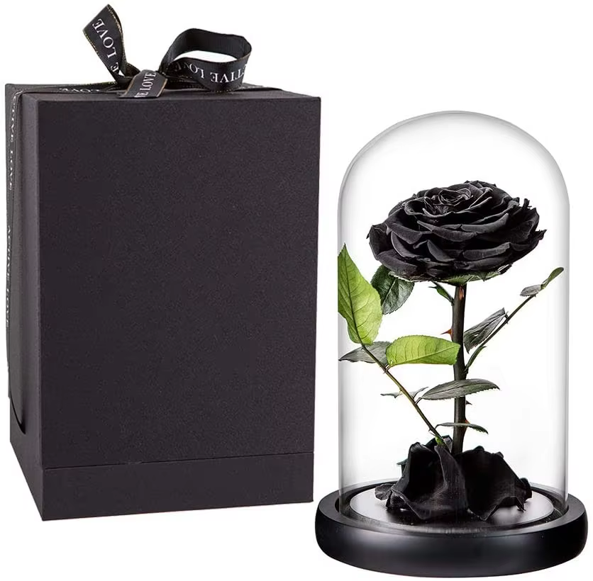 Black dome immortal rose gift box