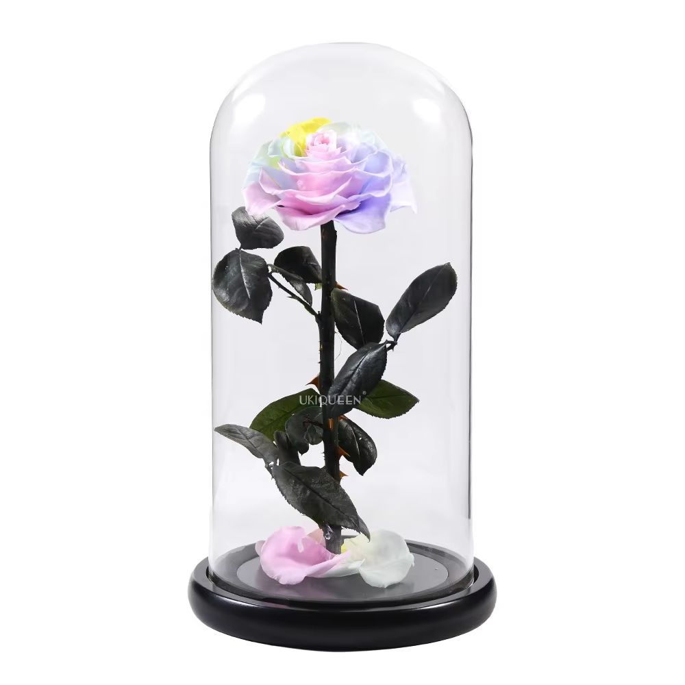 Pink dome eternal rose