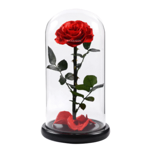 An immortal rose is in a glass box.