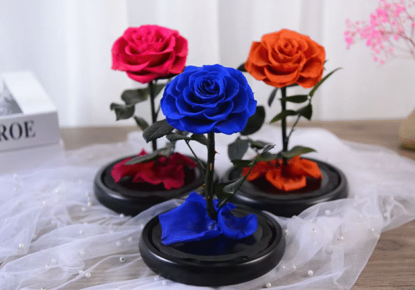 Immortal Flowers