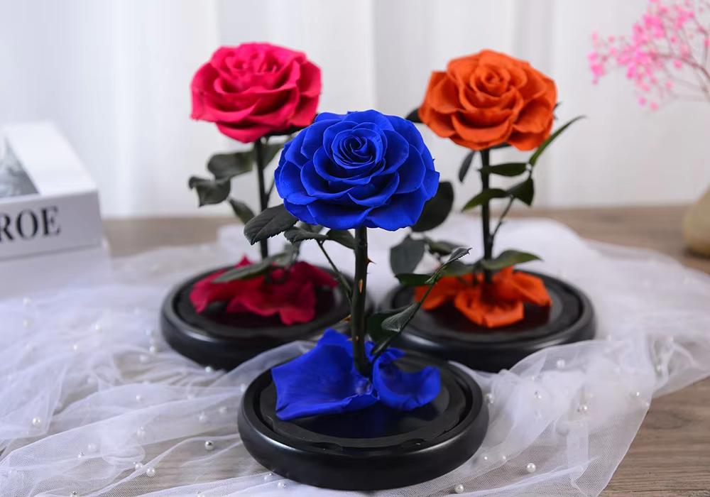 Immortal Flowers