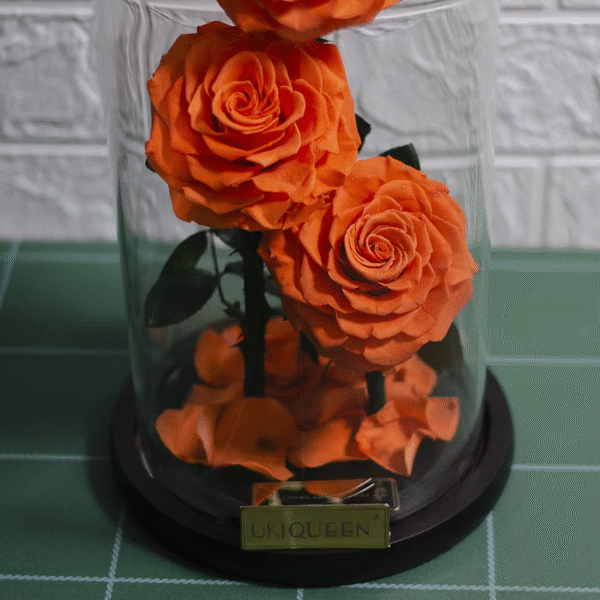 long-lasting flowers