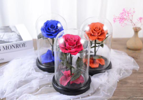 luxury preserved roses