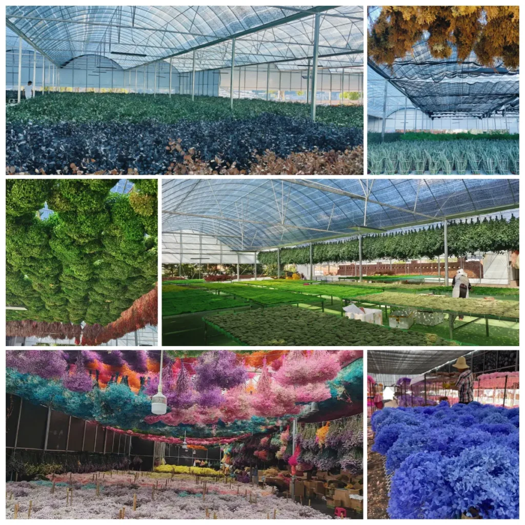 Preserved Flowers Factory