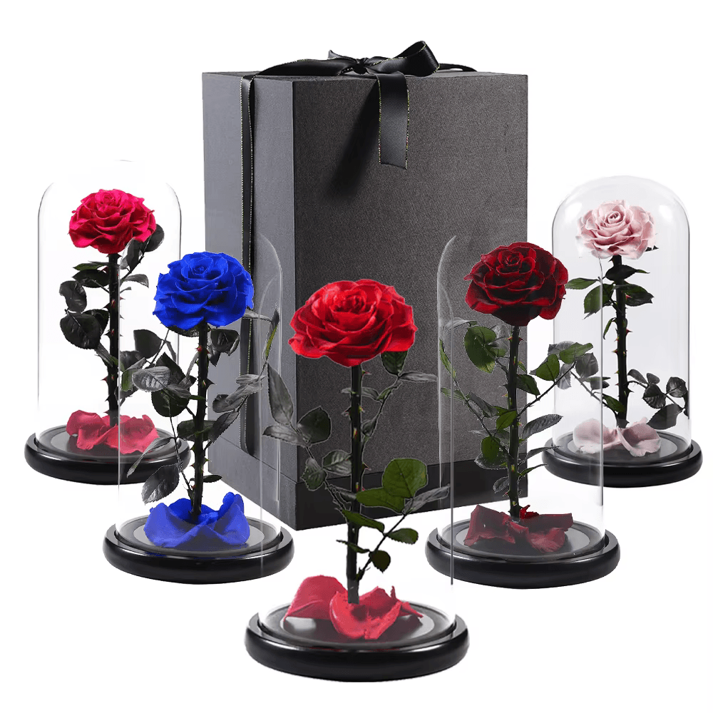 Caring for Preserved Roses